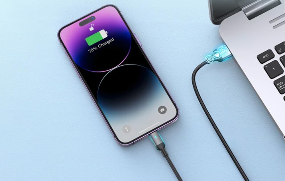 S-A10 Series Type C to Lightning Cable