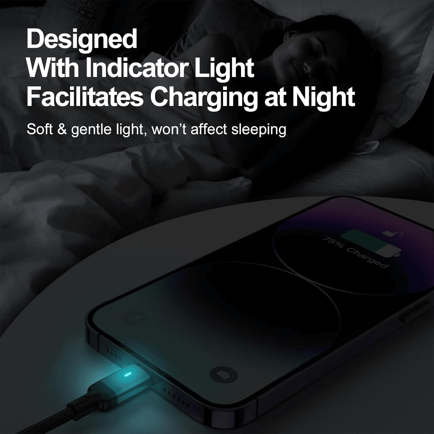 S-A10 Series Type C to Lightning Cable