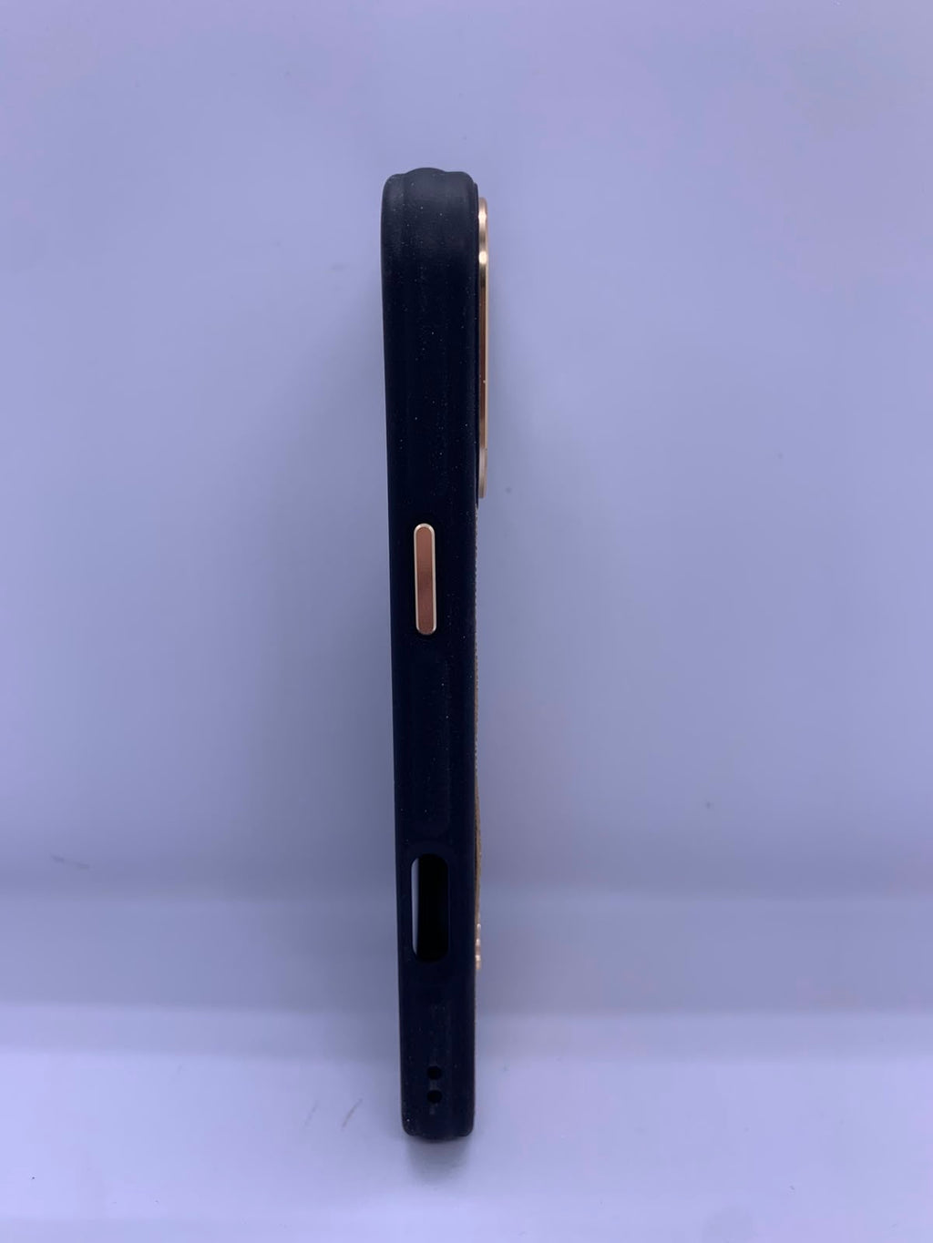 coach case luxe