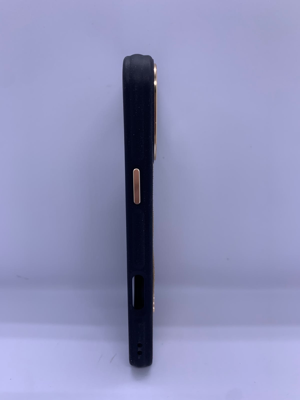 coach case luxe