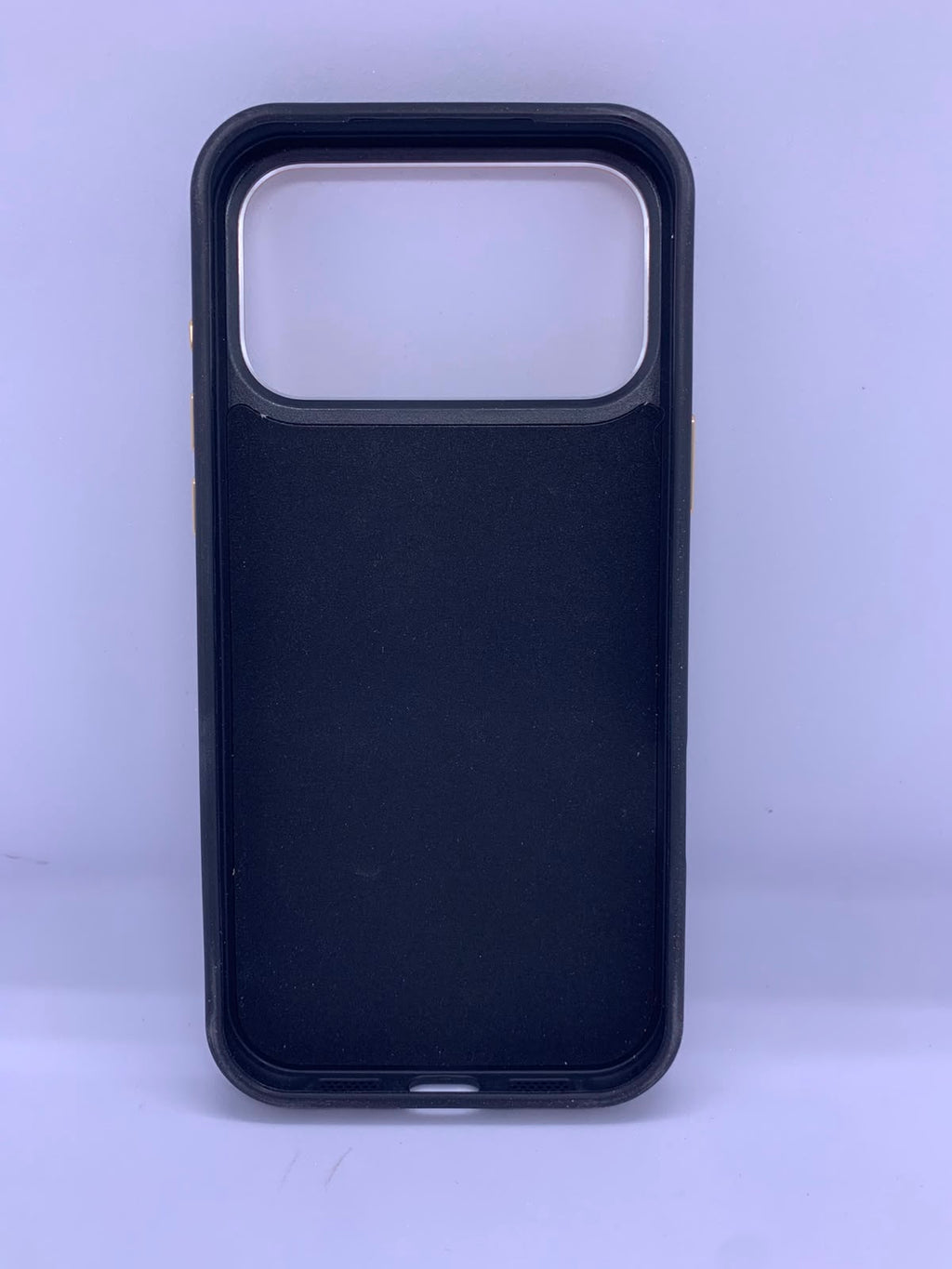 coach case luxe
