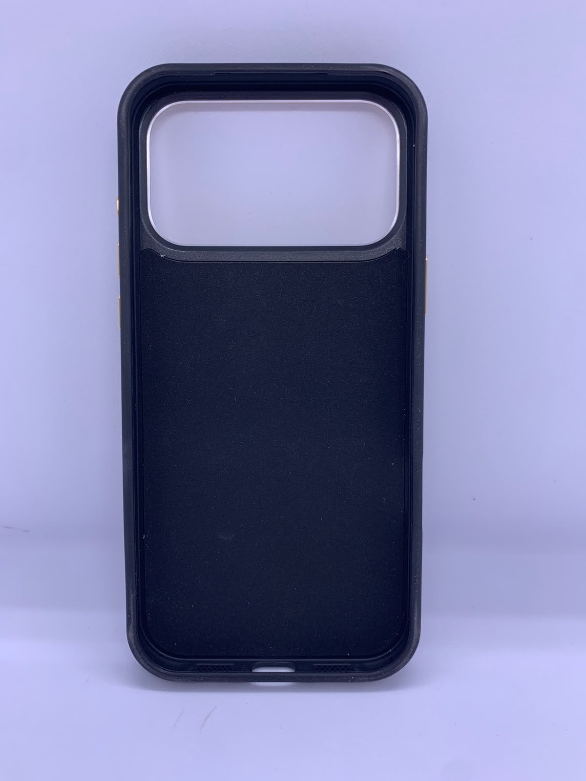 coach case luxe