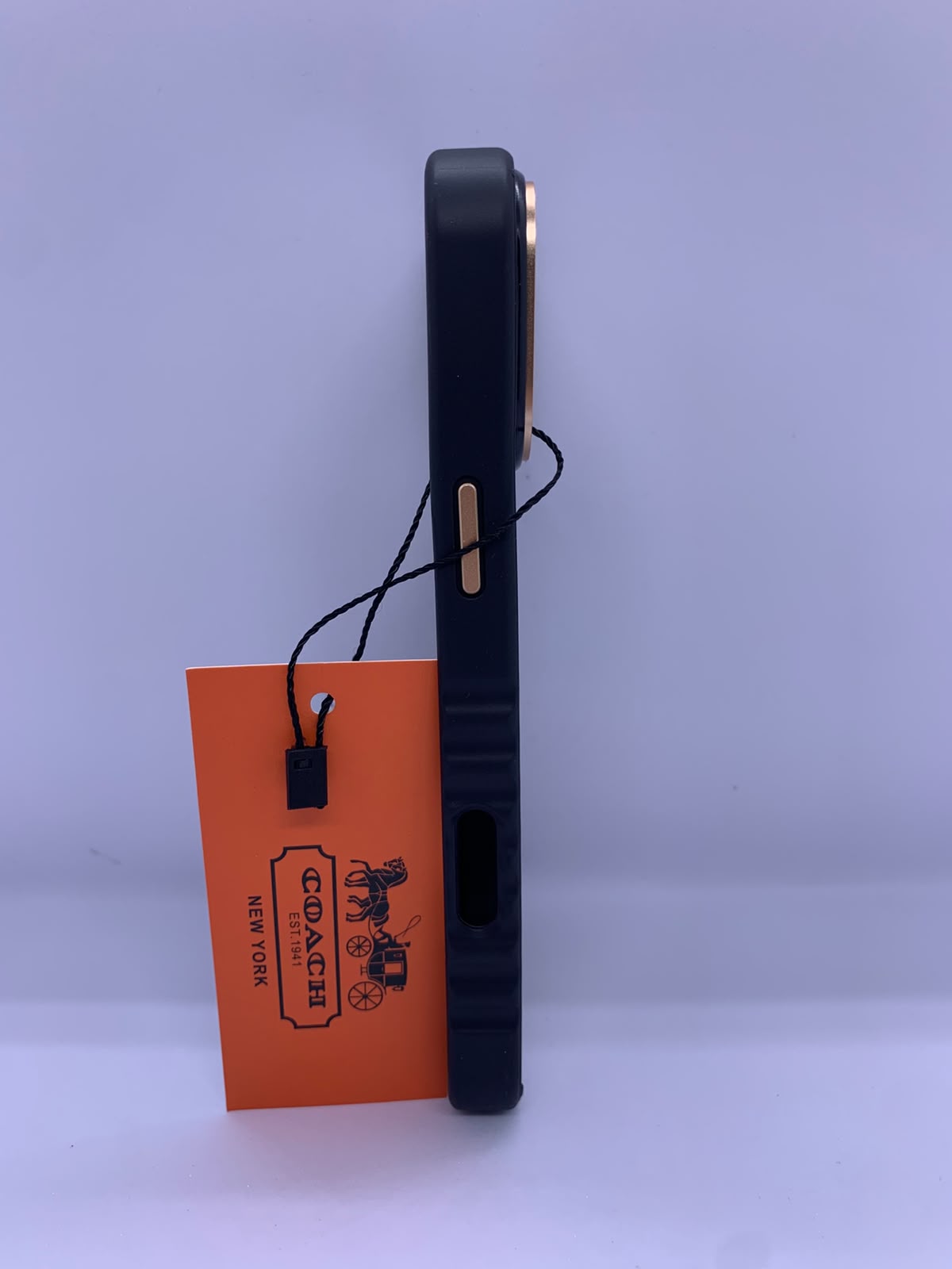 Coach Signature Canvas